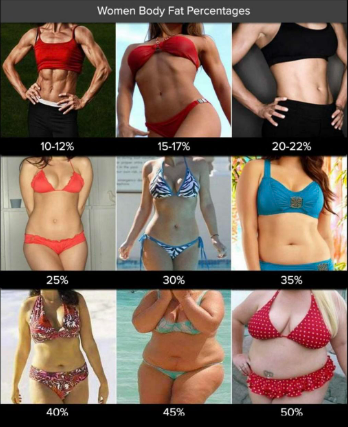 Women body fat percentages